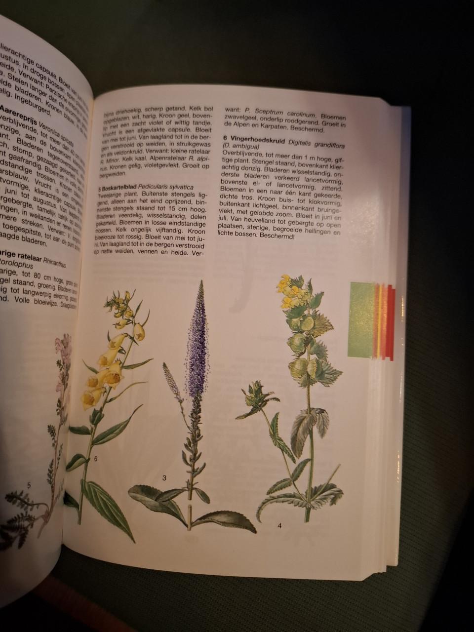 De grote Rebo natuurgids, door Jan Toman / Jiri Felix