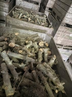 Te koop appel hout