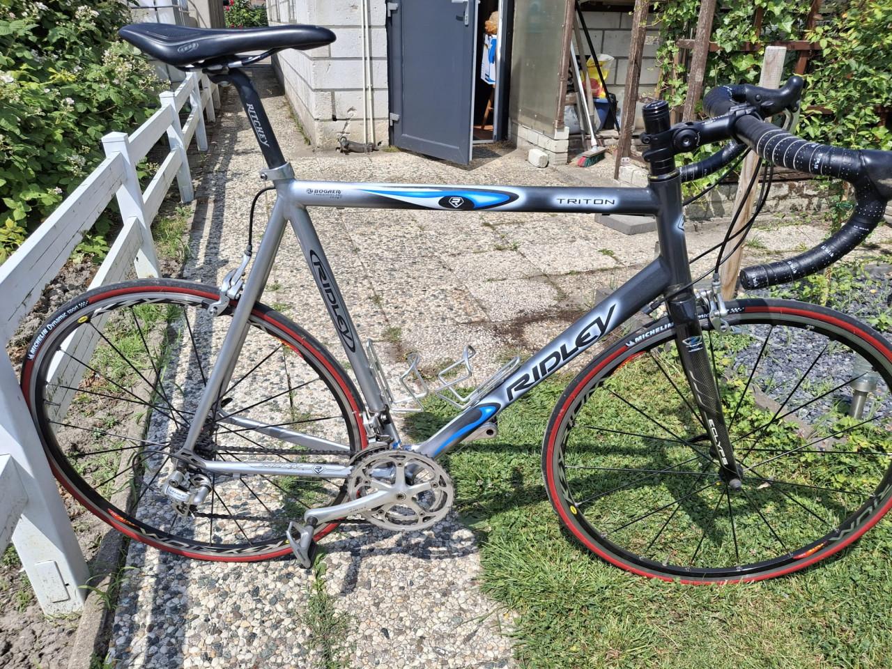 Te koop ridley