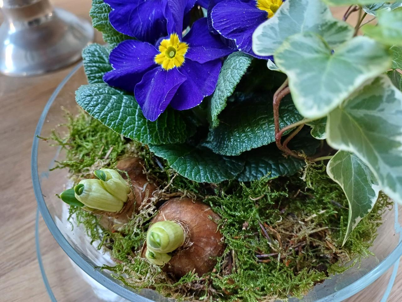 Glazen KOP + SCHOTEL: leuk met kerstdecoratie op TAFEL