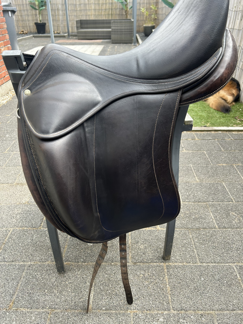 Donkerbruin childeric DSG 18 inch
