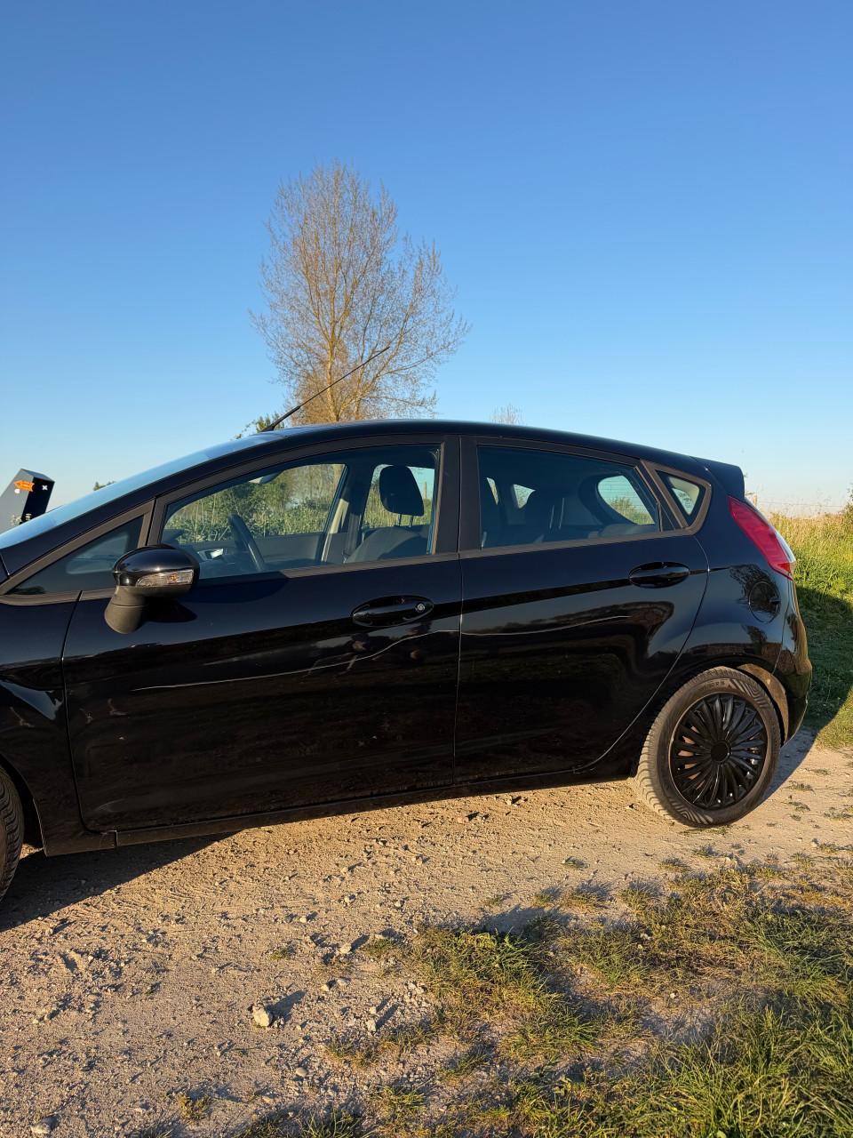 Ford Fiësta 1.0 59KW/80PK 5D 2014 Zwart