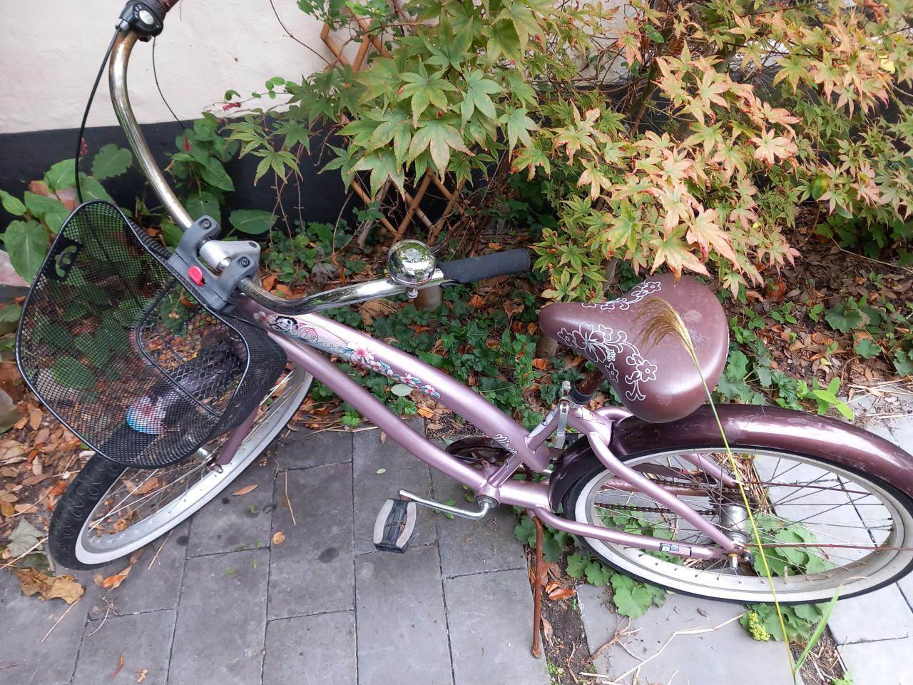 Fiets Nirve beach bike dames