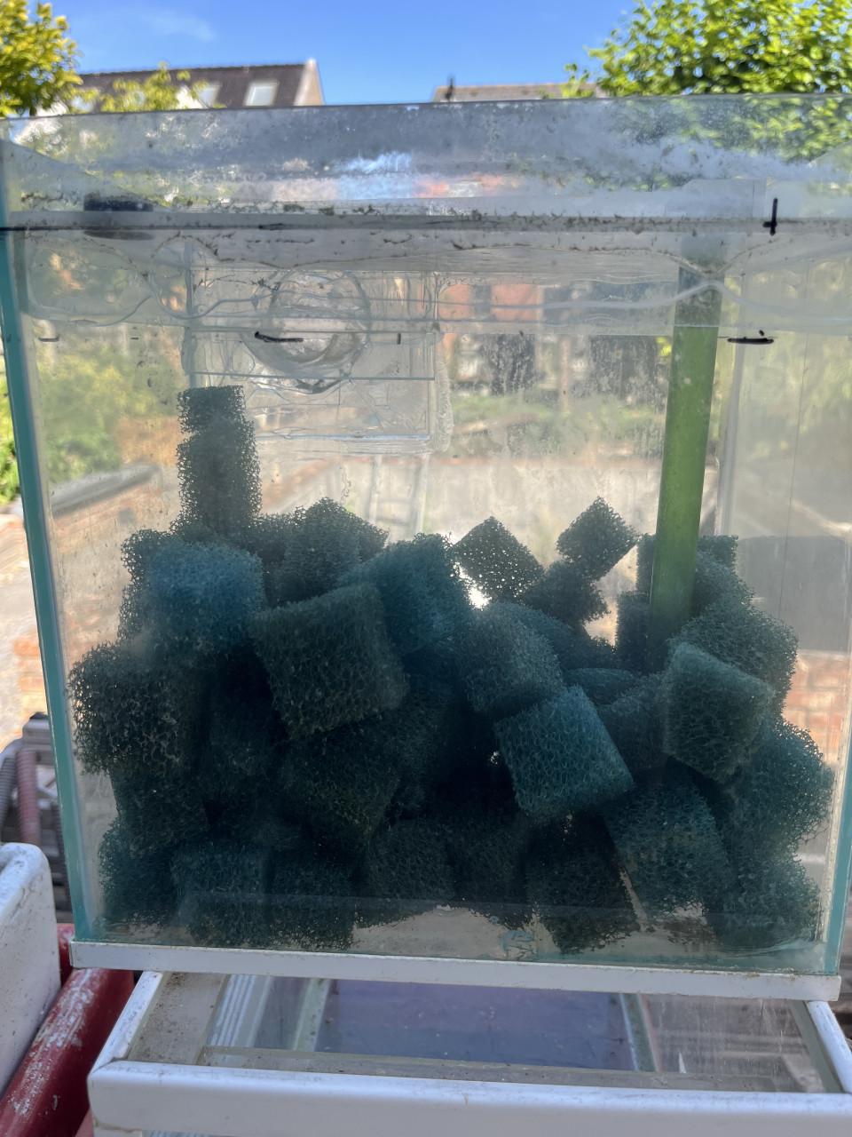 Aquarium druppel filter glas