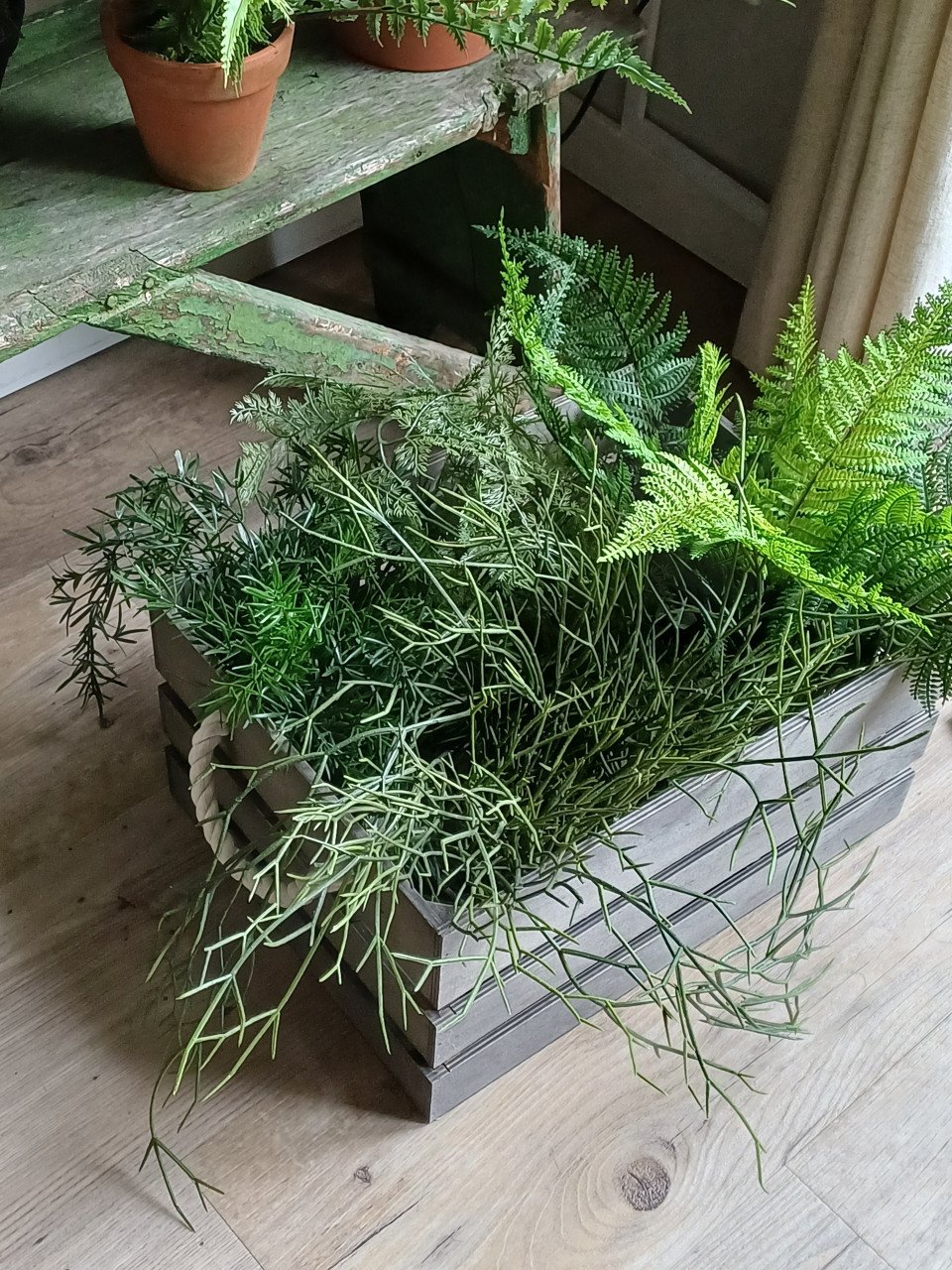 Kunst planten