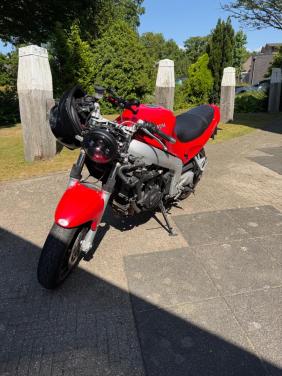 Triumph 955 te koop