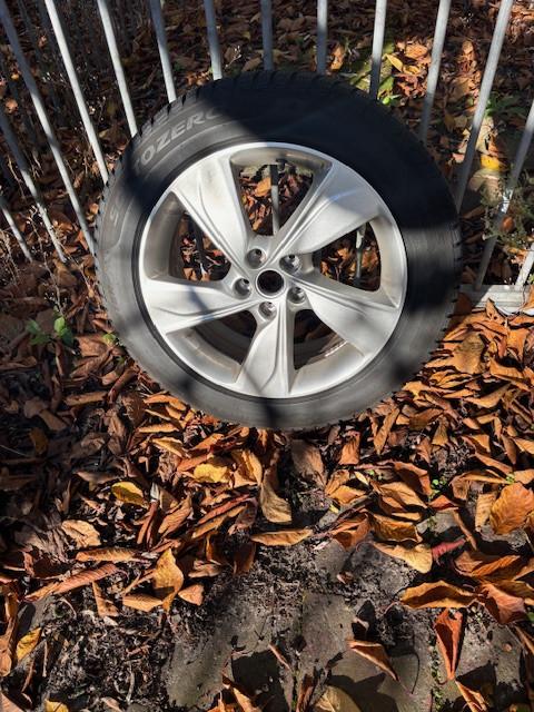 Set winterbanden met lichtmetalen velgen Opel Grandland