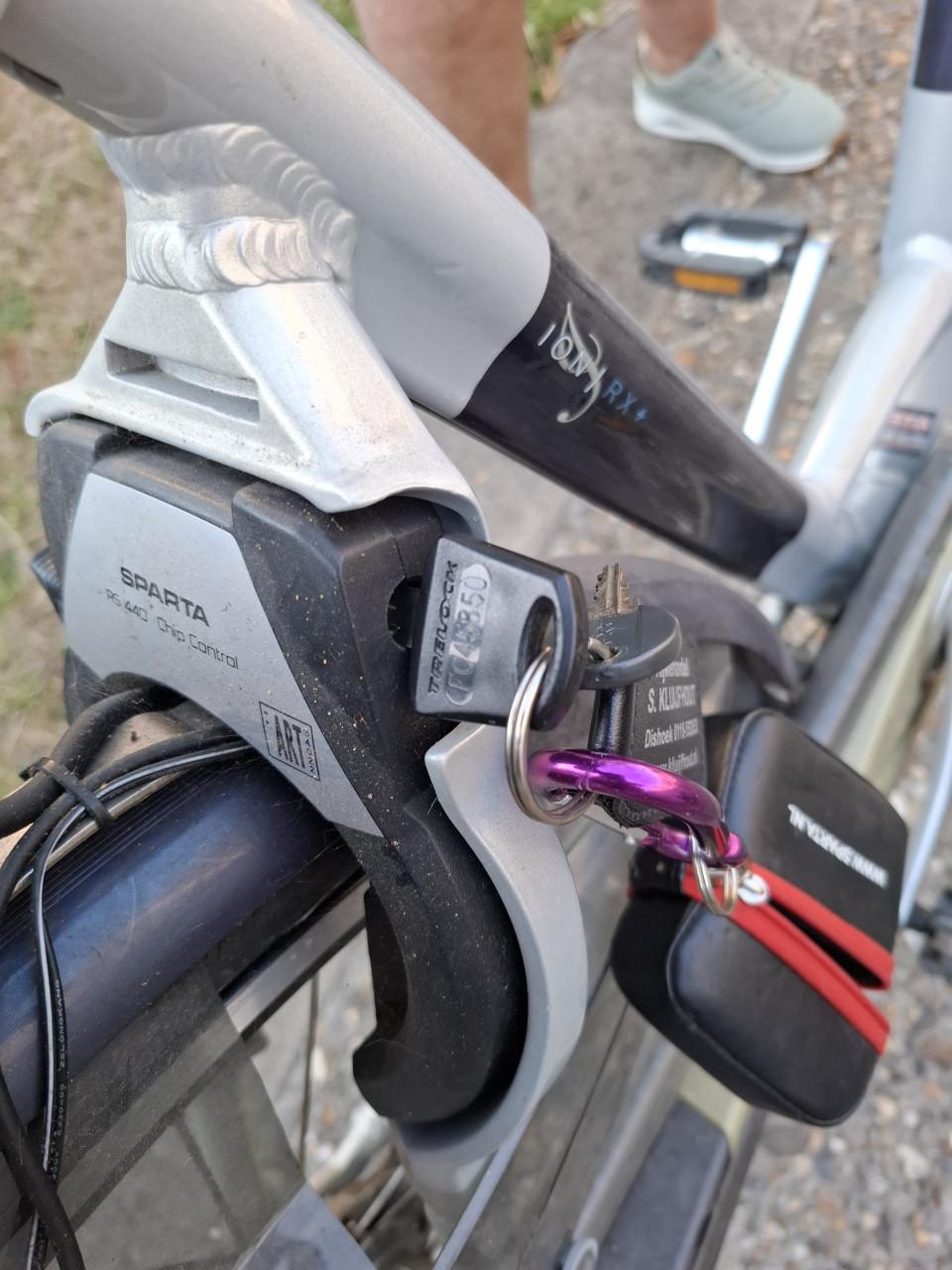 Elektrische  Sparta ion RX plus 504 wh