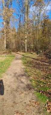 Bijrijdster en begeleidster