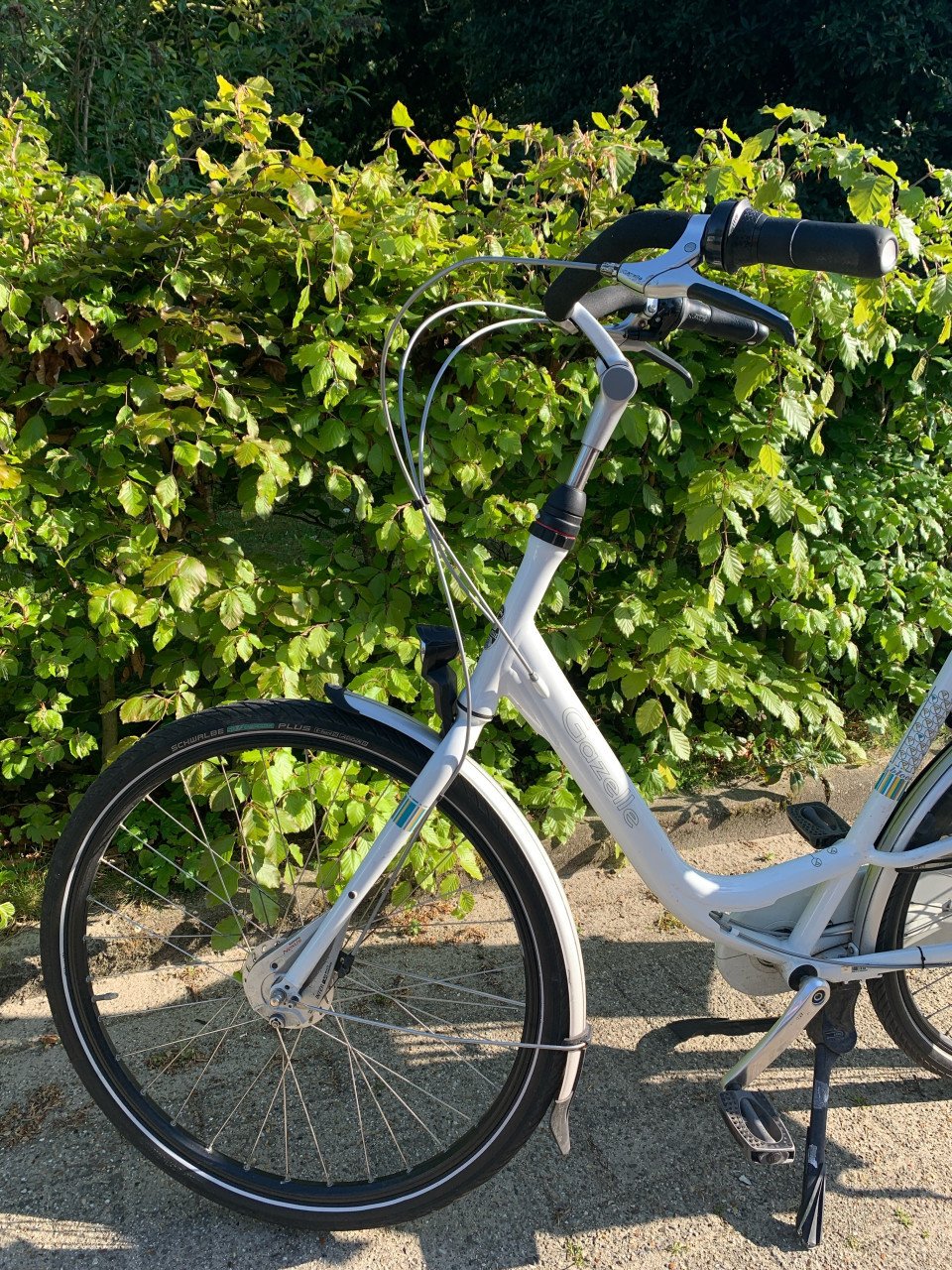 Gazelle Bloom ‘mama’ fiets