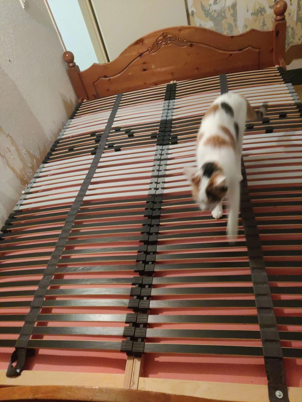 2 stuks 70x200 latten bodems met 42 latten.