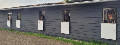 Paardenbox te huur