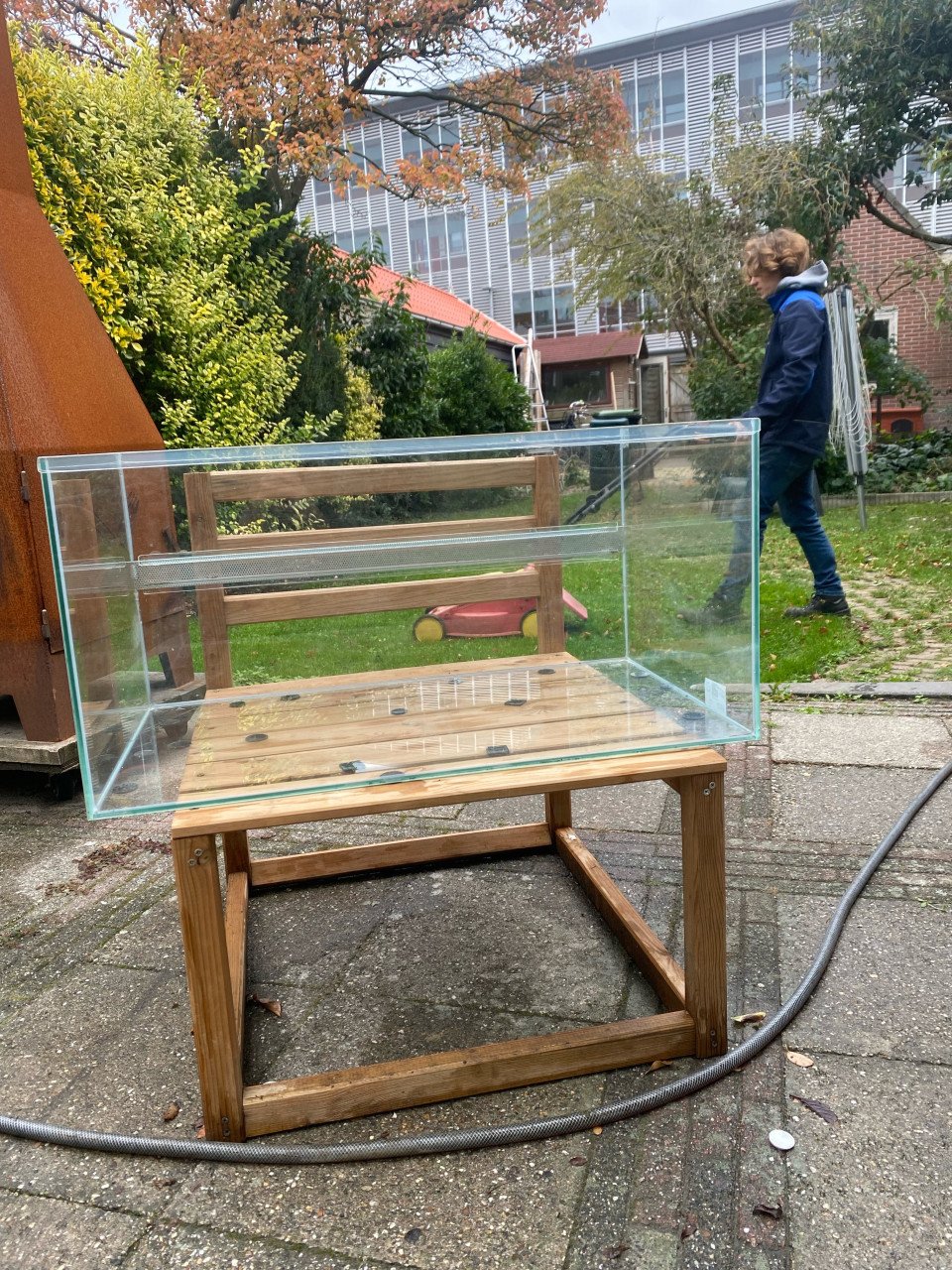Terrarium hamster