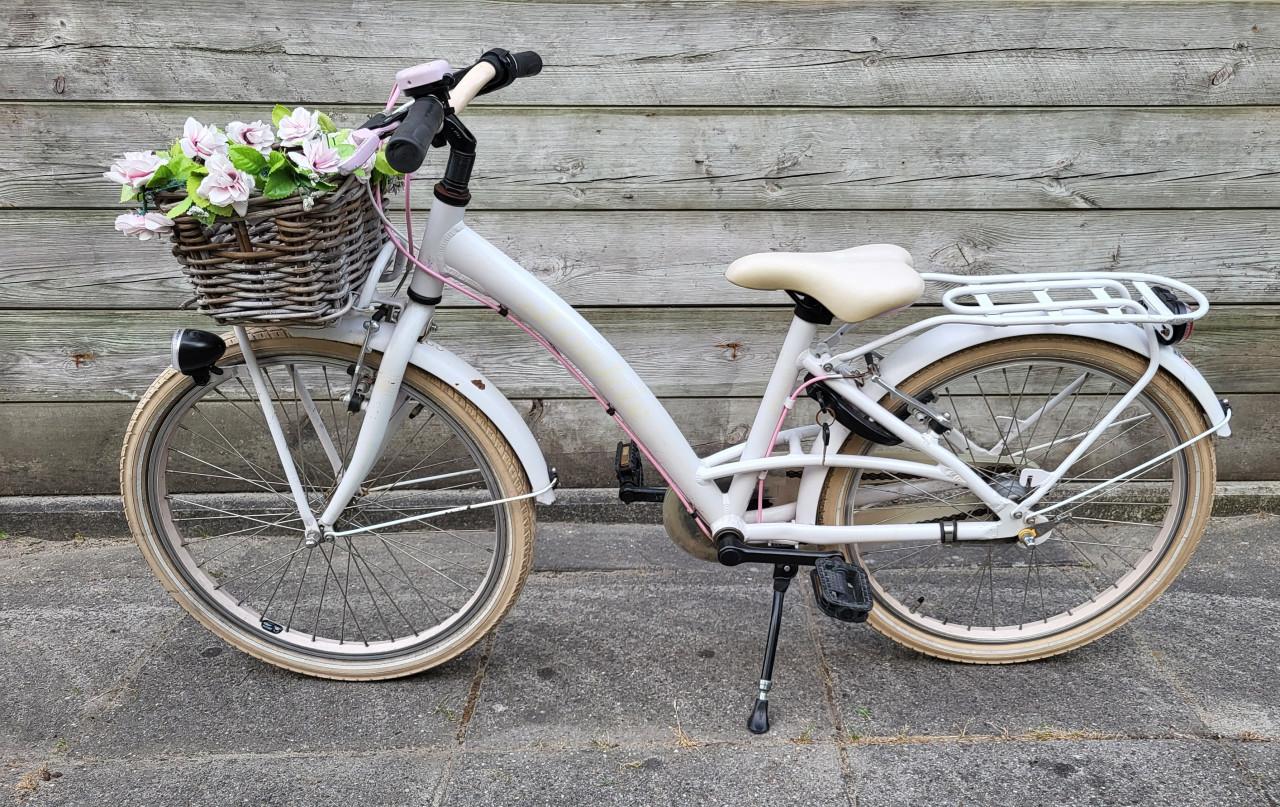 Loekie Prinses 22 inch meisjesfiets