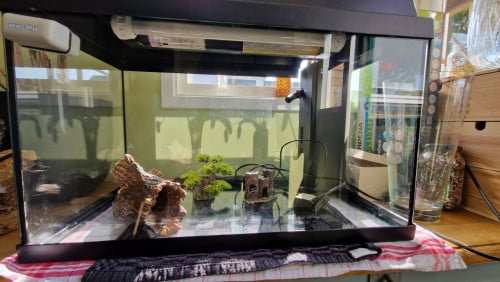 Aquarium juwel 60 liter
