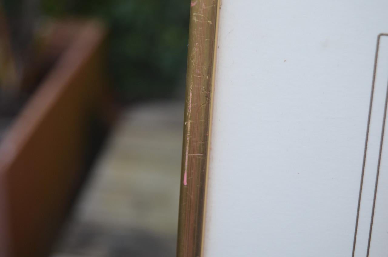 Gravure 19e eeuws van een specht, wel mooi eigenlijk