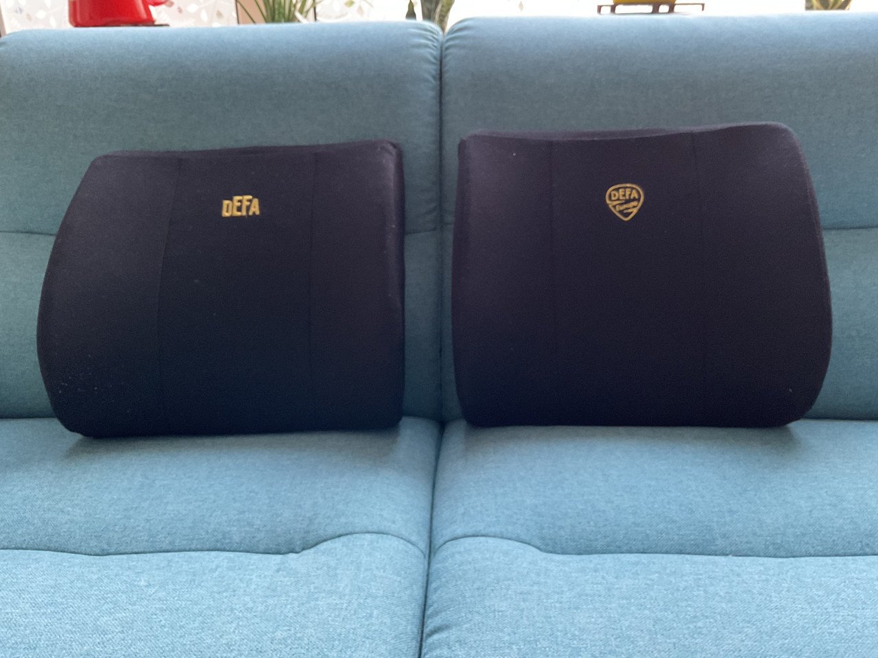 Twee DEFA rug kussens