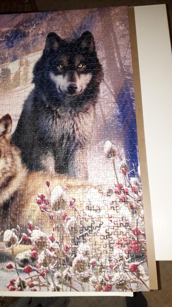 Puzzel 2000 stukjes wolven
