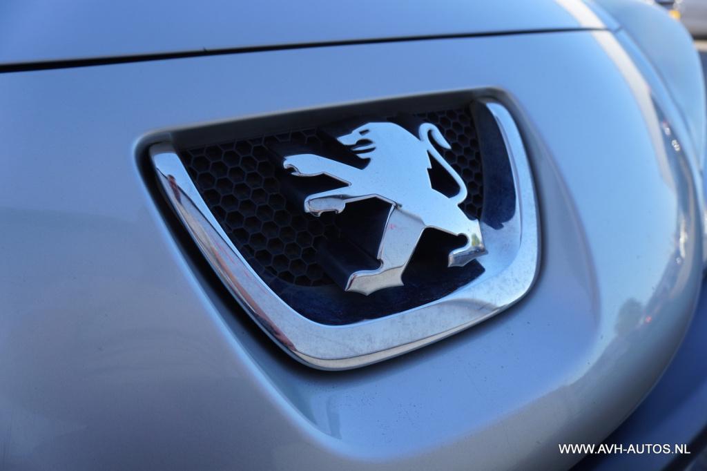 Peugeot 207 1.4 vti look
