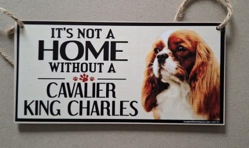 Cavalier King Charles Houten Decoratiebord