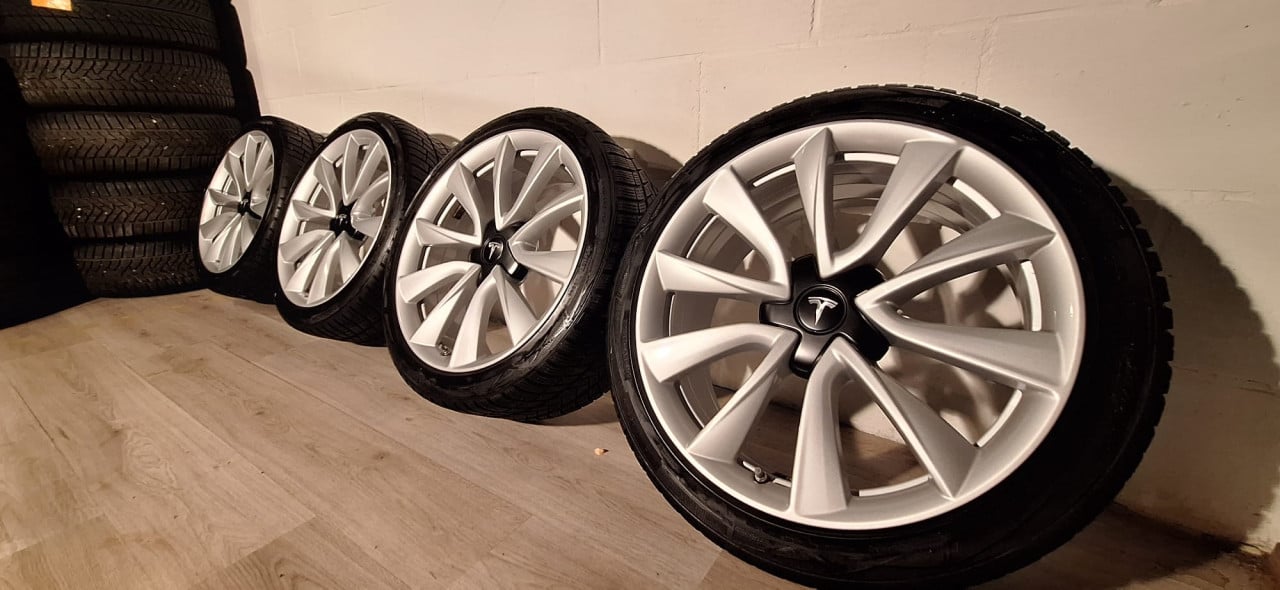 19'' Originele Performance Tesla Model 3 velgen + banden