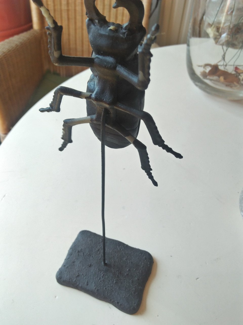 Kever op houder