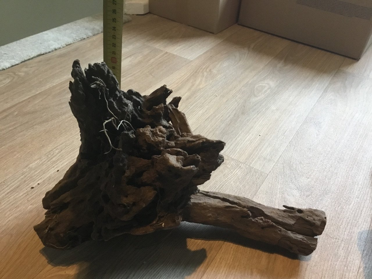 Mangrove hout voor aquarium