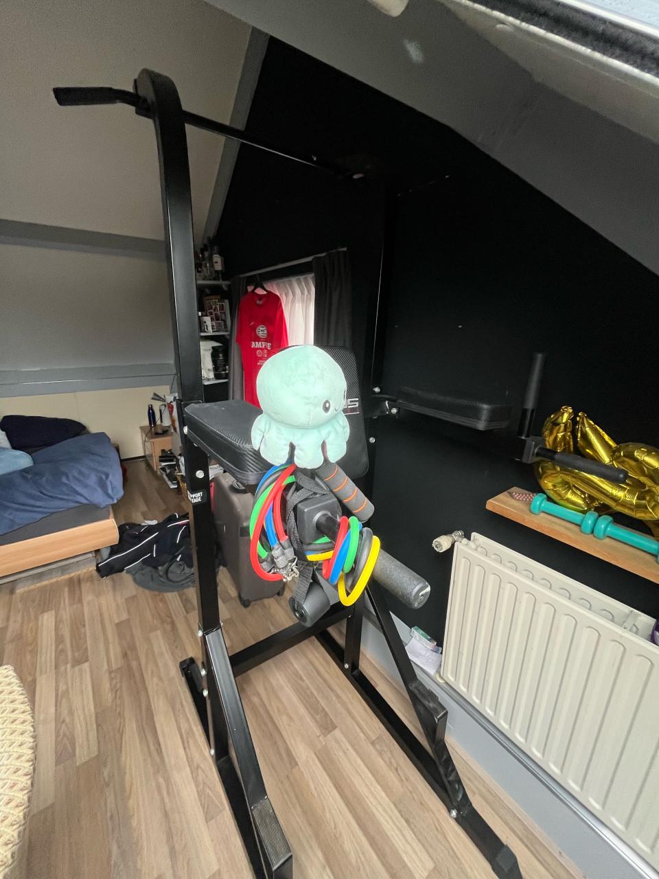 Power tower / pull-up & dip station – zeer goede staat”