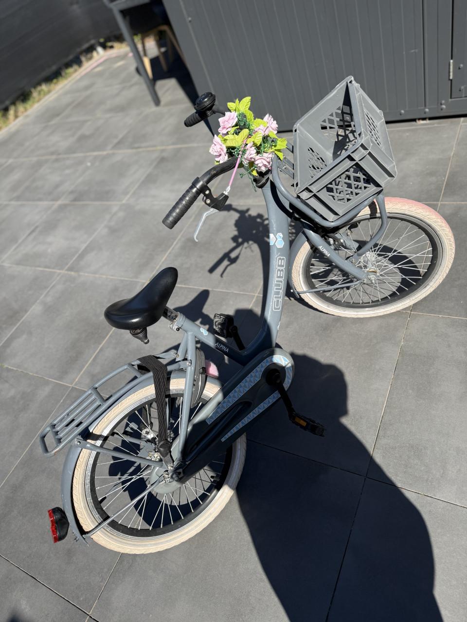 Meisjes fiets 20 inch