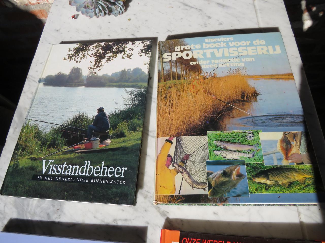 4 vis boeken