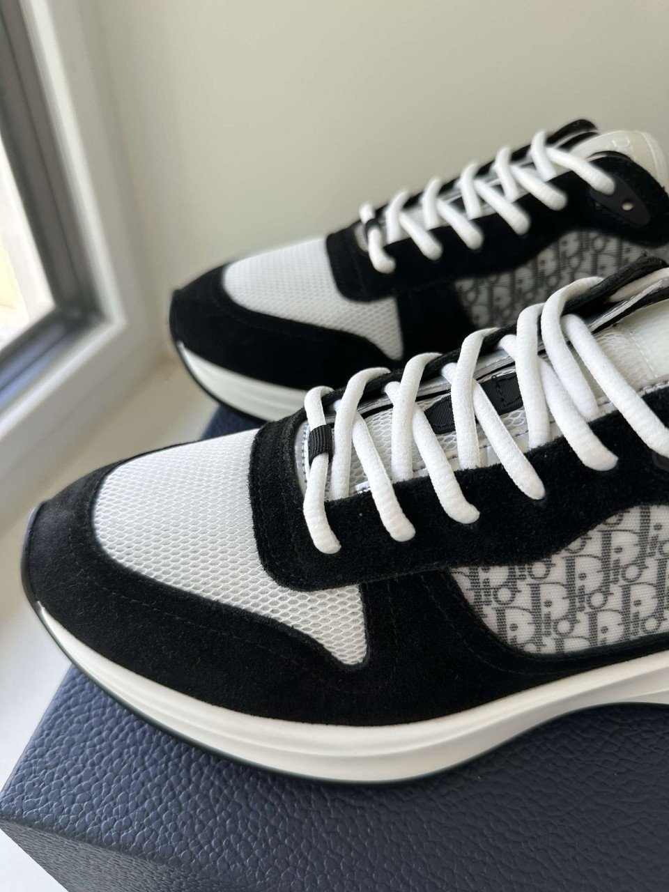 Dior B25