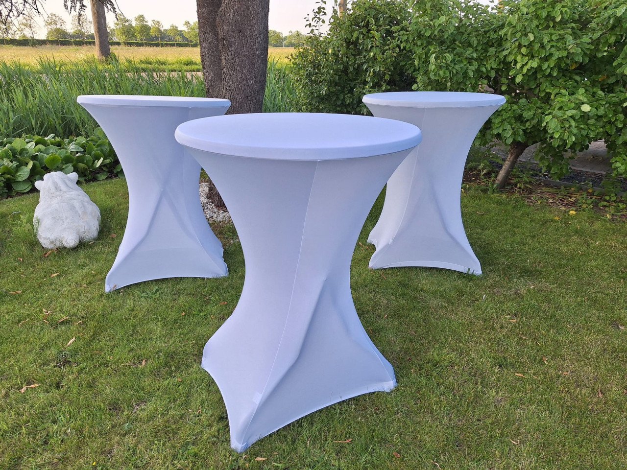 Partytent 5x12 meter te huur