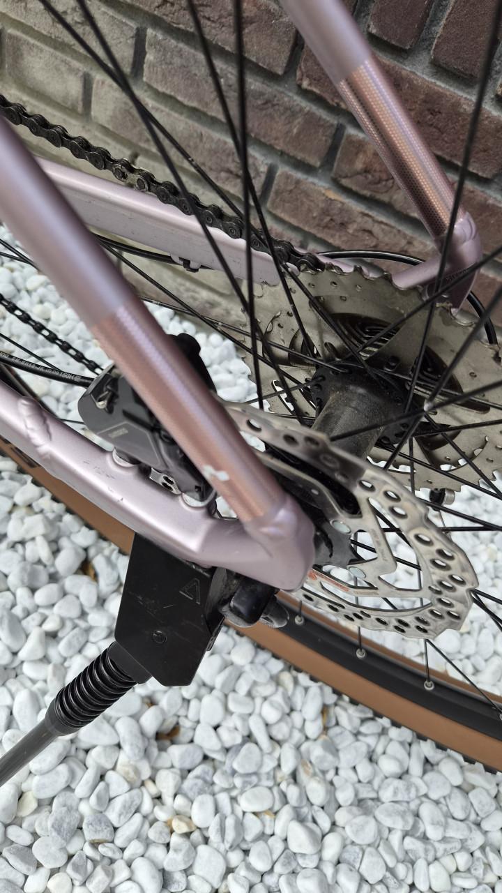 Cube Access WS Pro '23