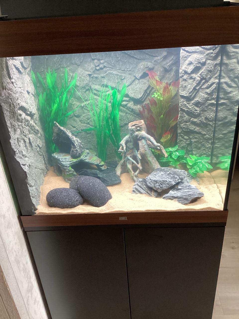 JUWEL LIDO 200 AQUARIUM