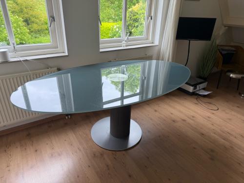 Design glazen eetkamertafel ovaal 200X110x78
