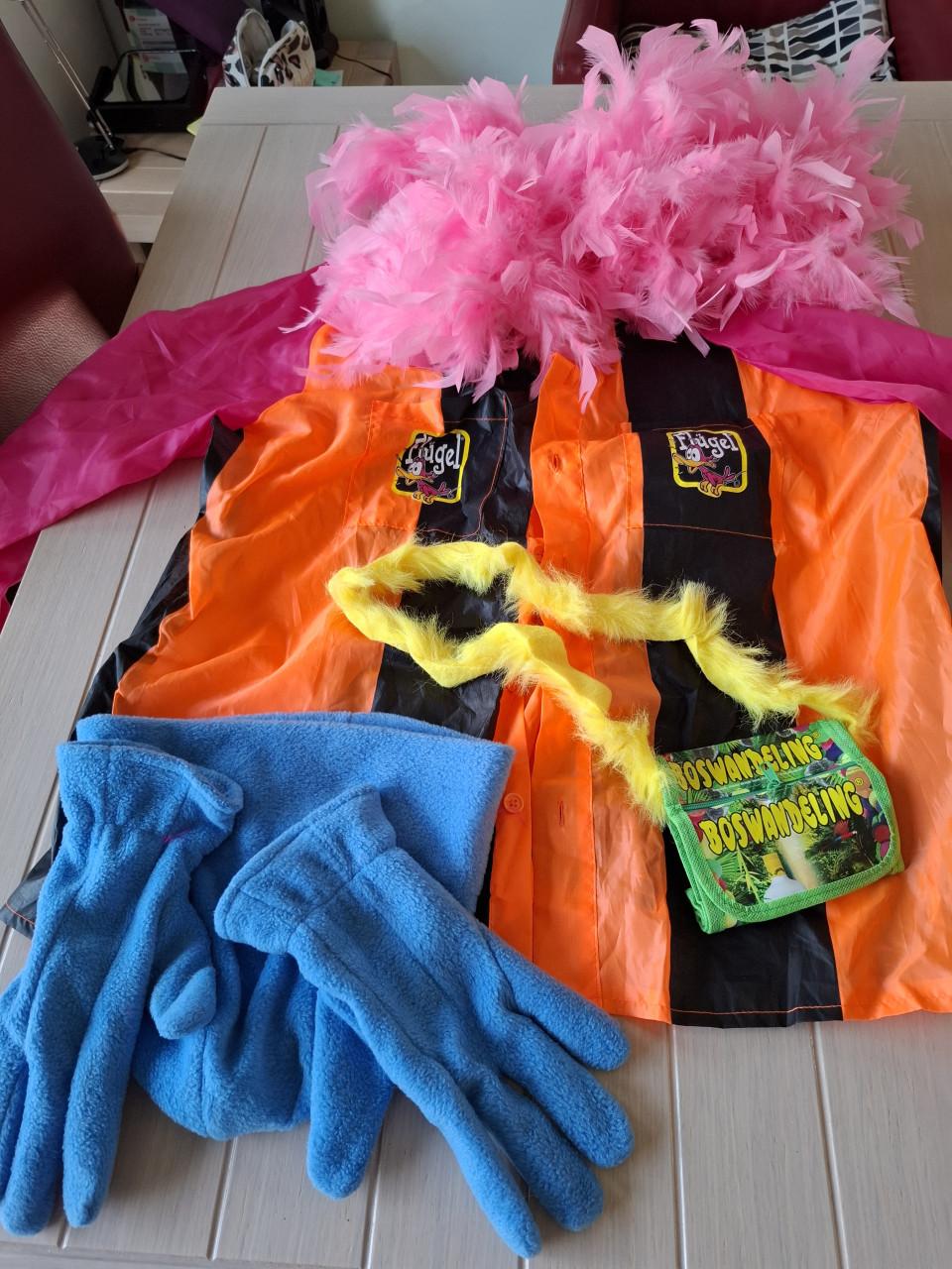 Carnaval kleding koopje