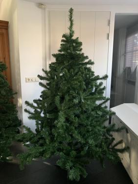 Kerstboom 1.85 Triumph tree