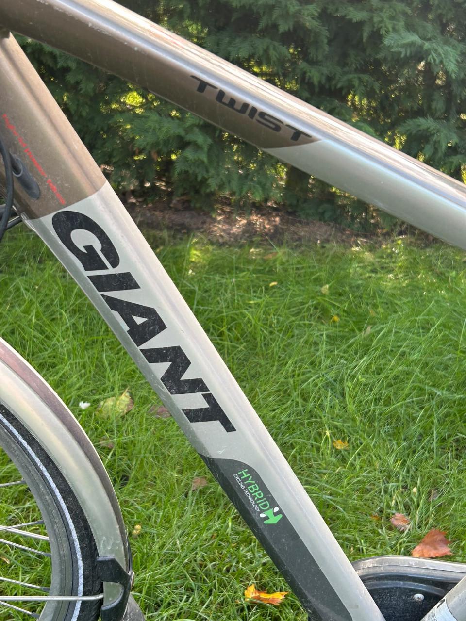 Giant twist elektrische herenfiets
