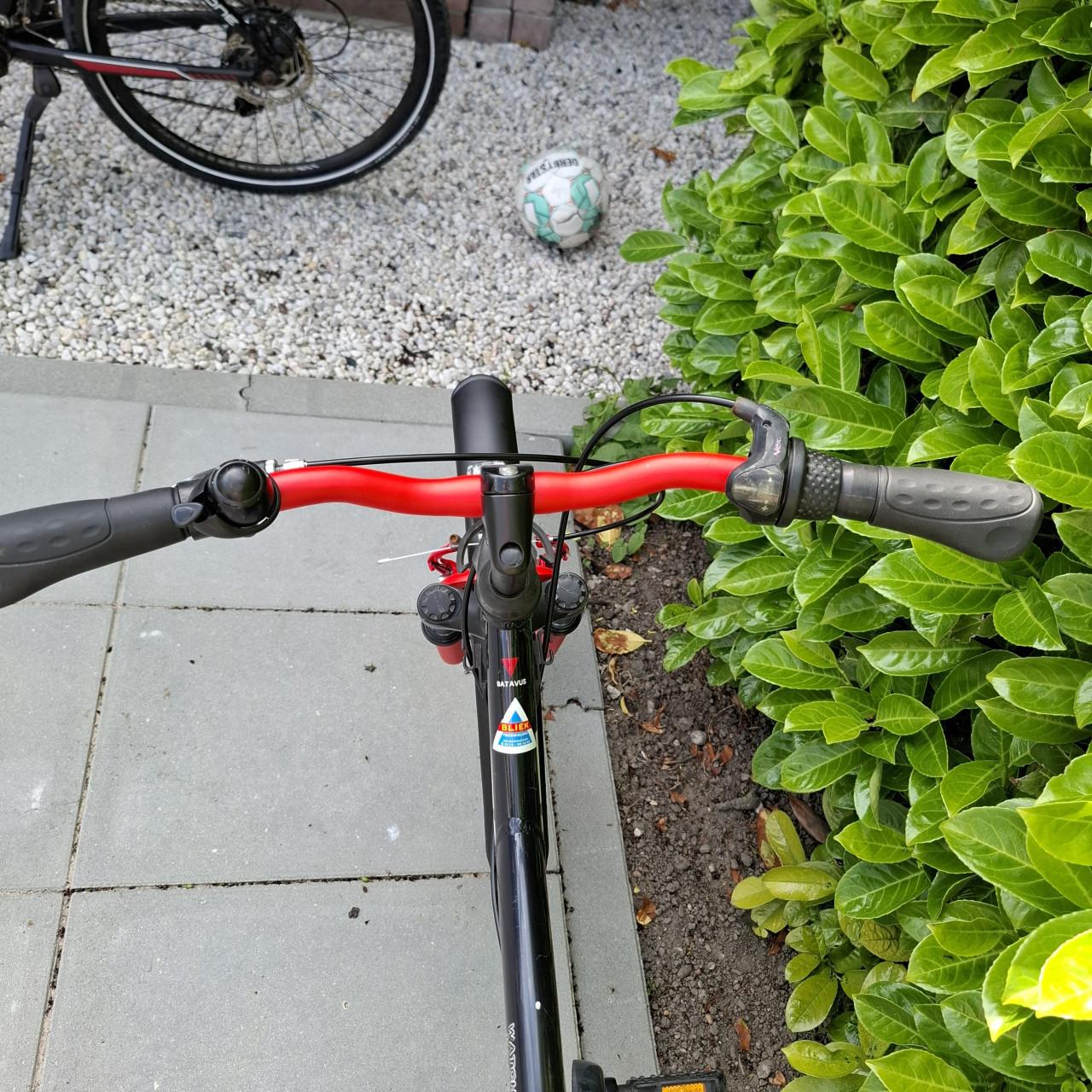Batavus snake 24 inch