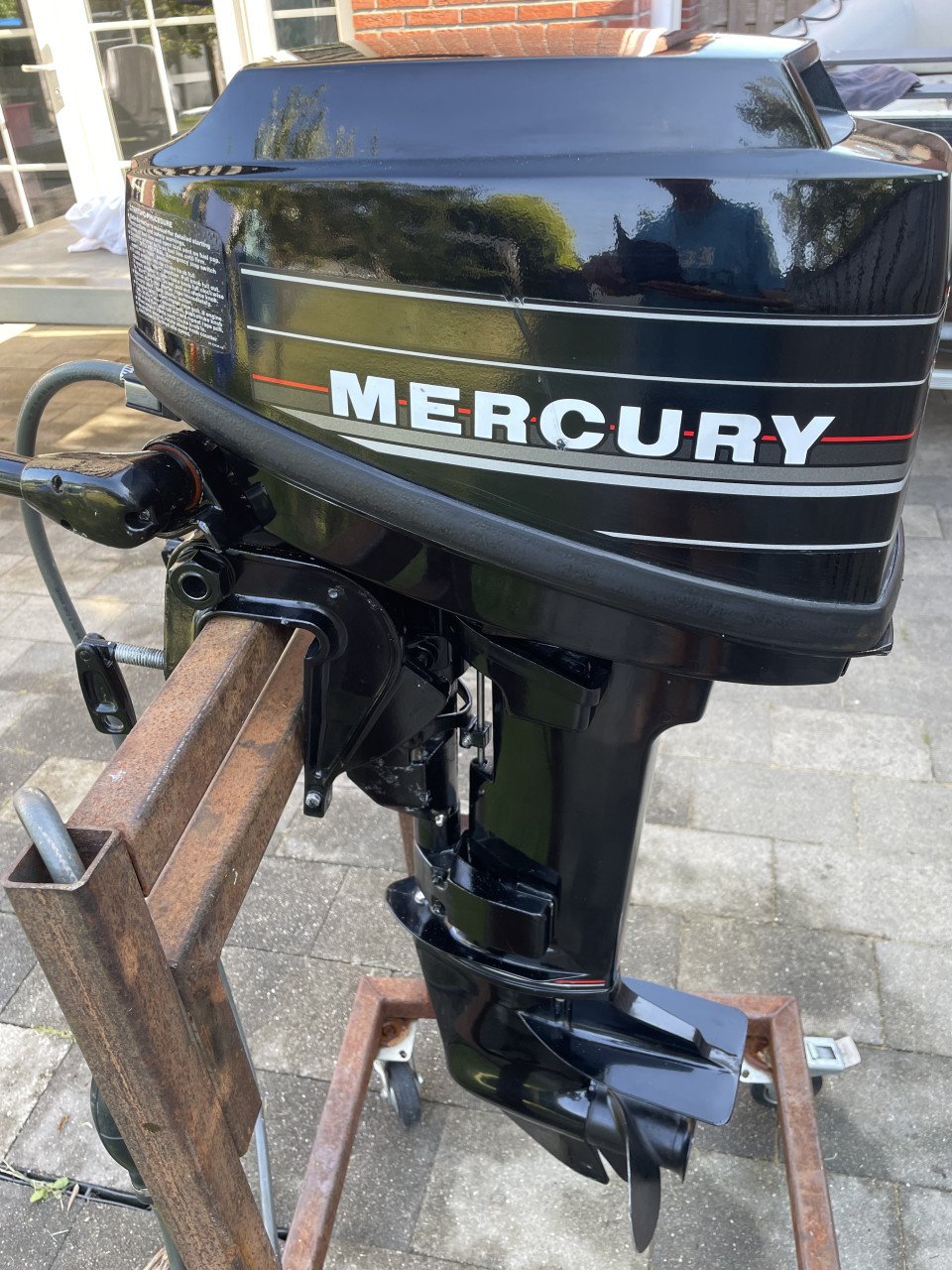 Mercury 9,9