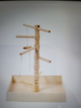 Vogel zit