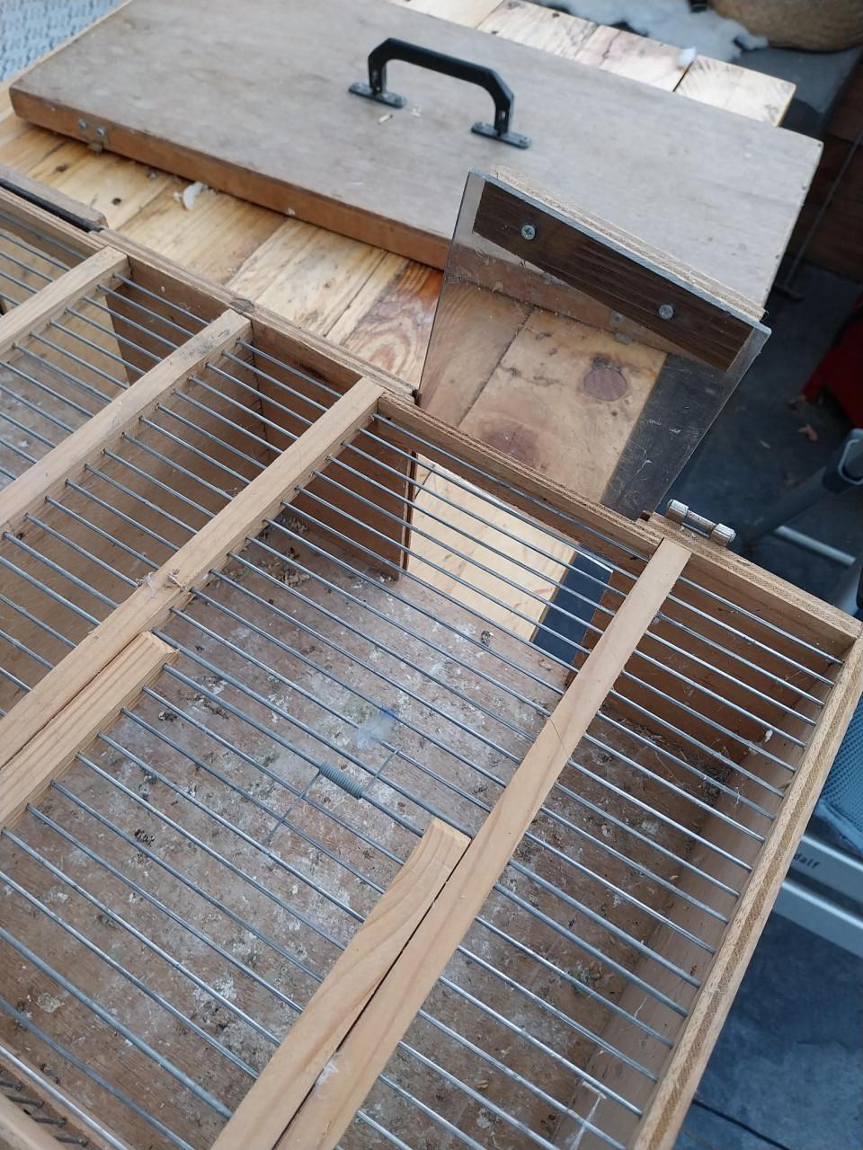 Vogel transportkooi