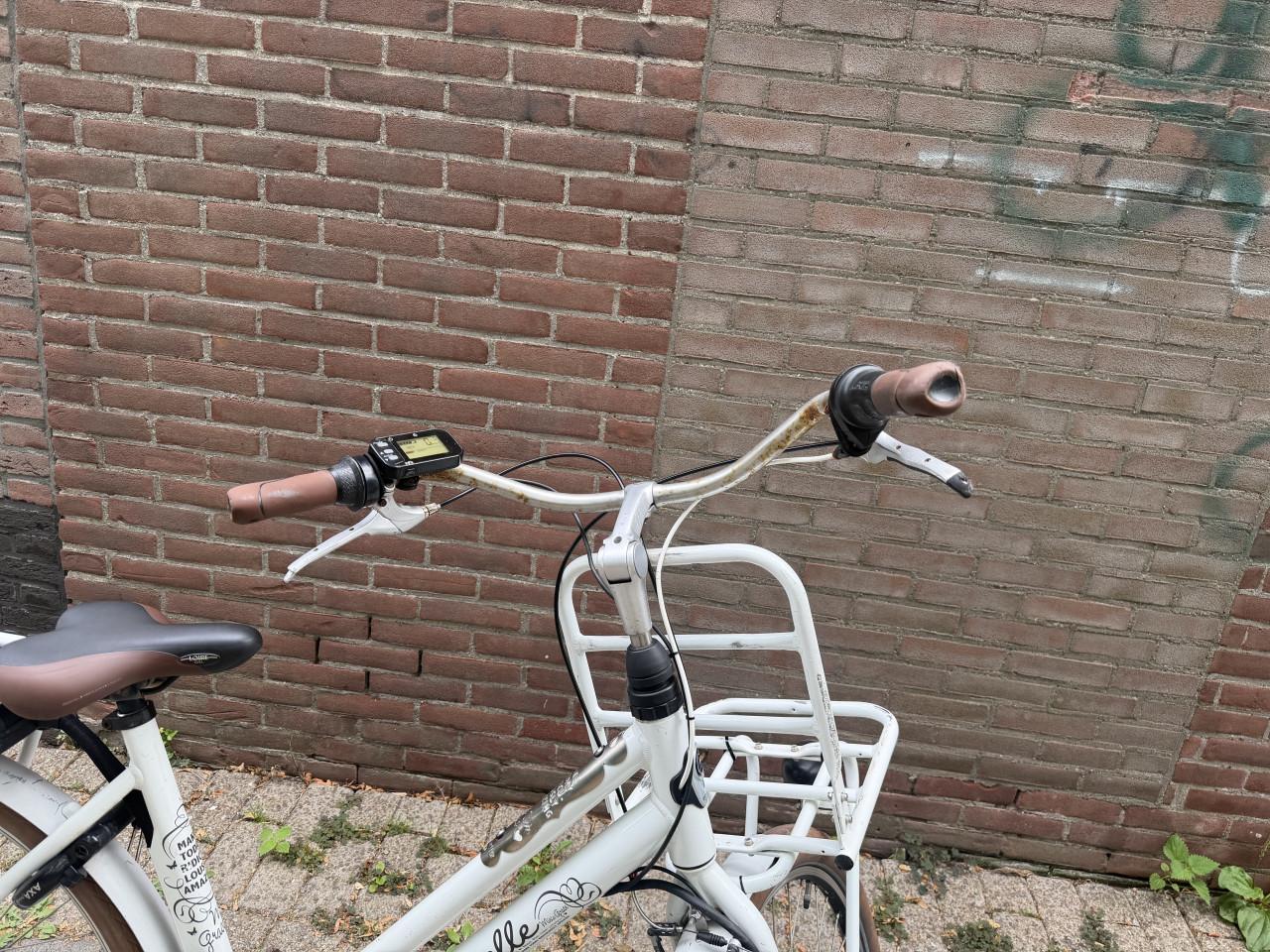 Gazelle elektrische fiets