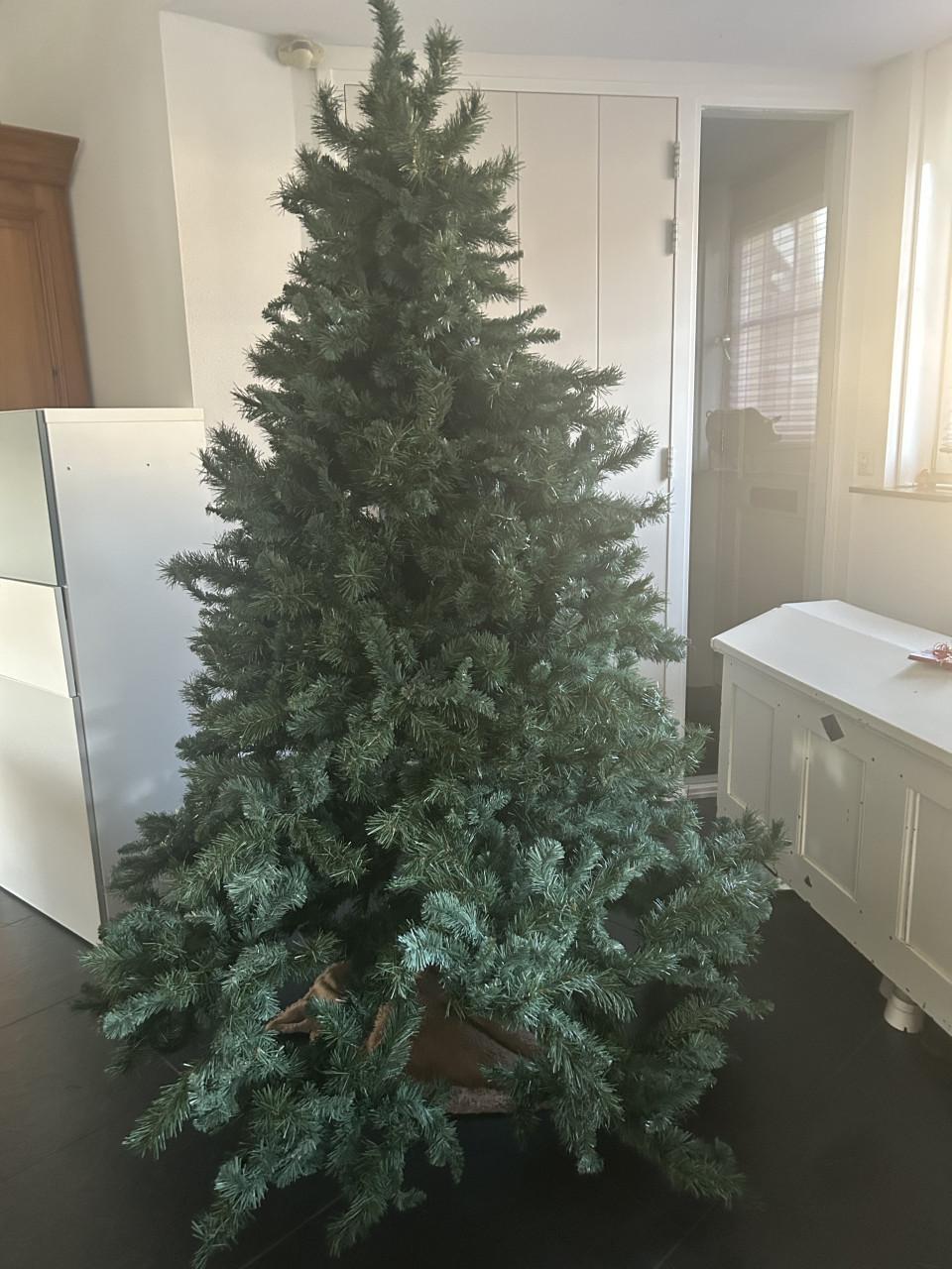 Kerstboom ong 2 meter.