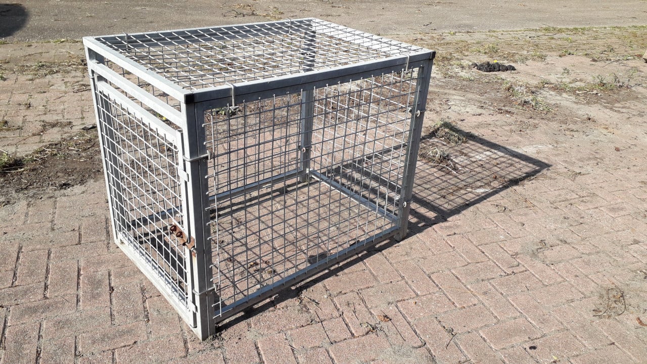 Te koop: stevige bench voor honden, katten, konijn  of kippen