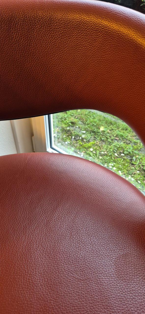 Eetkamerstoelen (2 stuks)