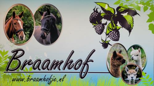 Camper en caravan plaatsen vrij op onze minicamping