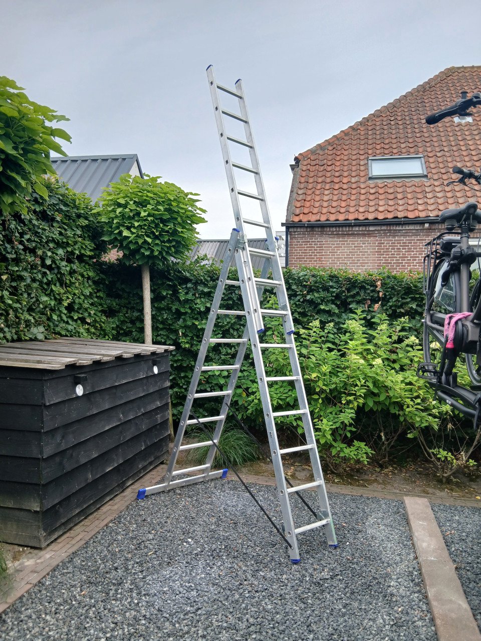 Ladder