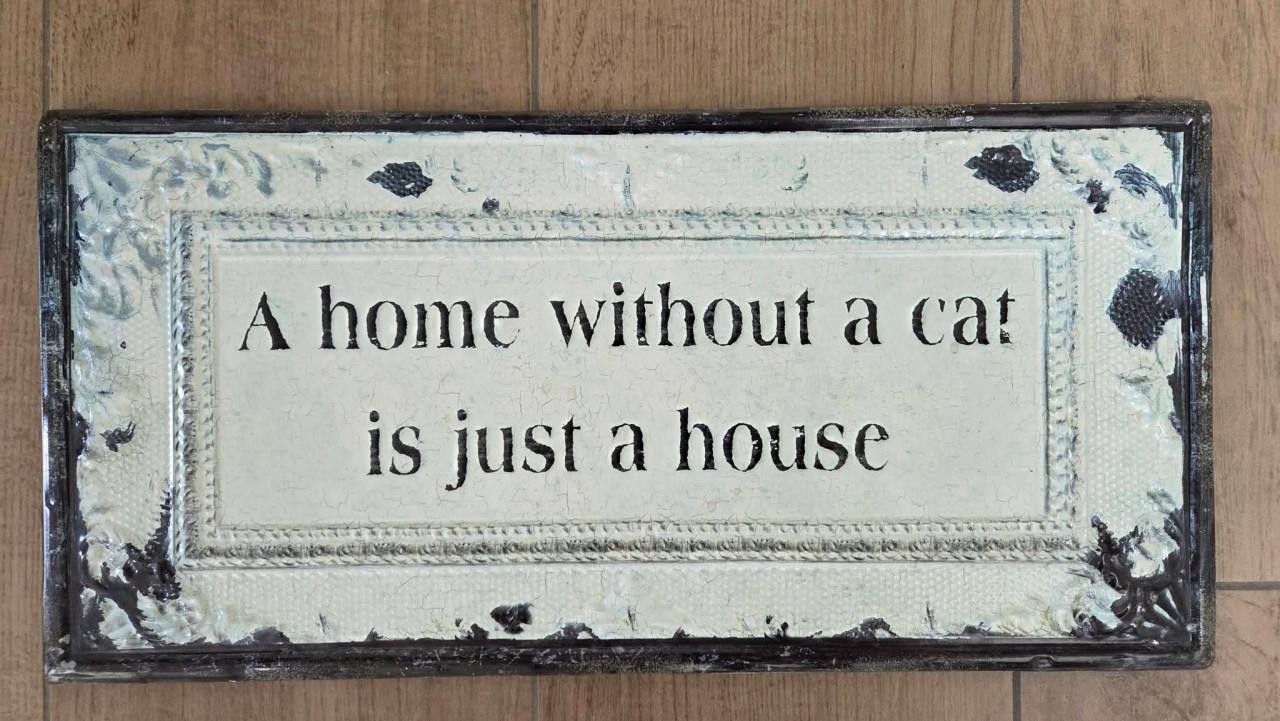 😺 Groot Metalen tekstbord,