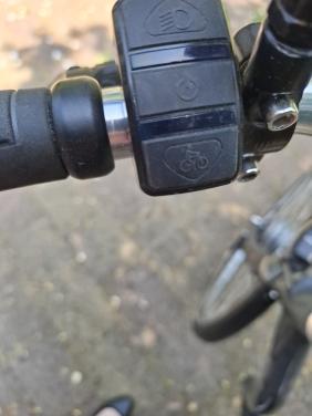 Electrische fiets